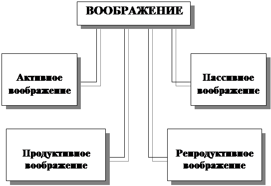 Контрольная работа по теме Функциии и виды воображения