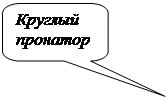 Скругленная прямоугольная выноска: Круглый пронатор