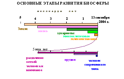 Основные этапы развития биосферы на Земле