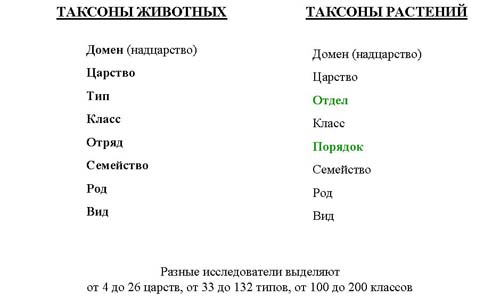 Основные этапы развития биосферы на Земле