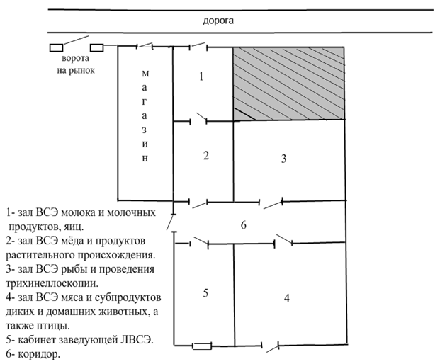 Описание: D:\Documents and Settings\Admin\Мои документы\Мои рисунки\план ЛВСЭ мостов.png