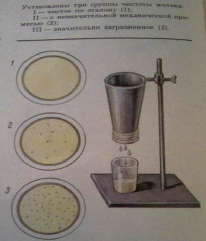 Описание: C:\из документов\Мои рисунки\с флешки\документы\SPM_A0264.jpg