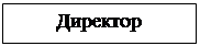 Подпись: Директор 