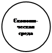 Овал: Єкономи-ческая среда 