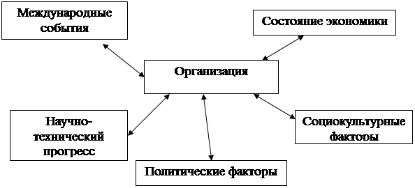 Курсовая работа по теме Анализ внешней среды организации - среды непосредственного и косвенного воздействия