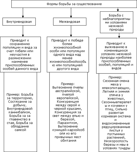 Реферат: Взаимоотношения между популяциями