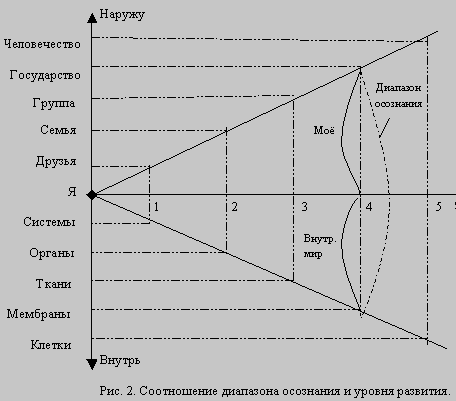 Реферат: Жизненный цикл Человека