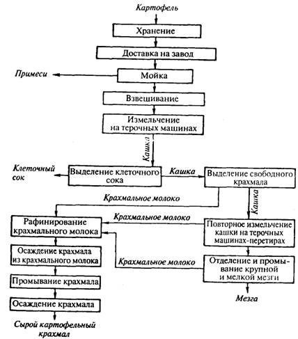 Курсовая работа: Виробництво картопляного крохмалю