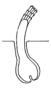 http://www.policlinica.ru/img/hair_fol_2.gif