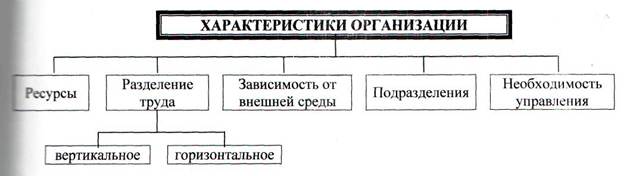 Курсовая работа: Вертикальное и горизонтальное разделение труда в организации