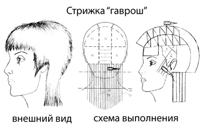 Реферат: Технология выполнения стрижки